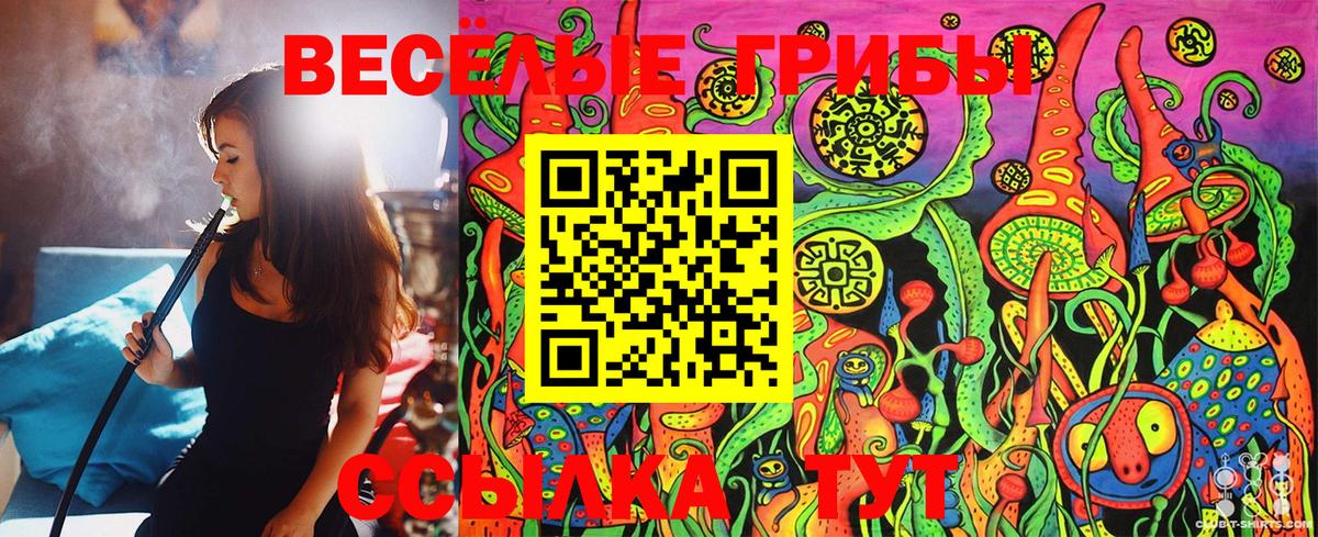 Петрозаводск  Псилоцибиновые грибы MAGIC MUSHROOMS  Вход с VPN 